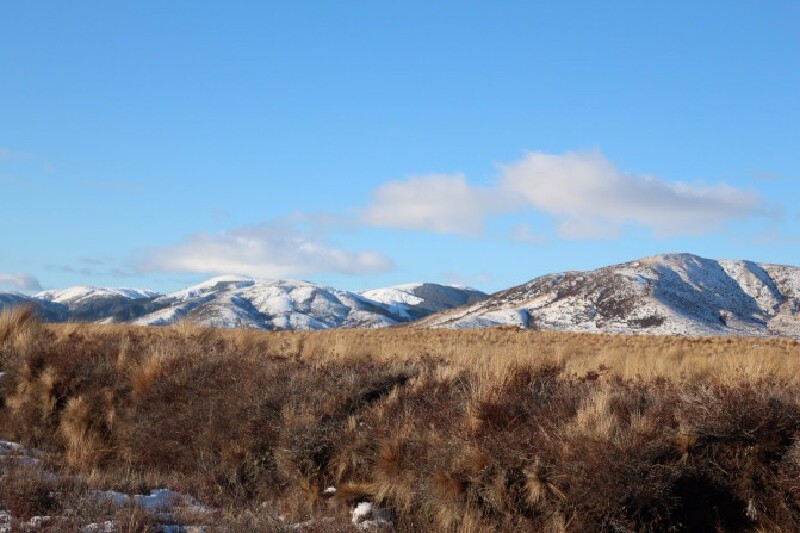 即刻出发,开车房车去新西兰兜风