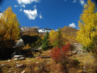 去稻城亚丁旅游组团_现在去稻城亚丁旅游多少钱_稻城亚丁旅游最新