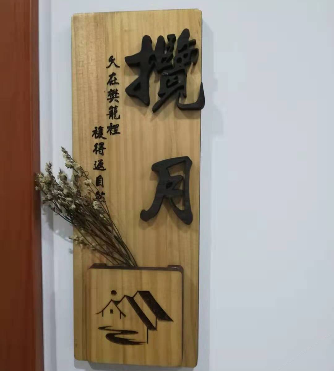 揽月