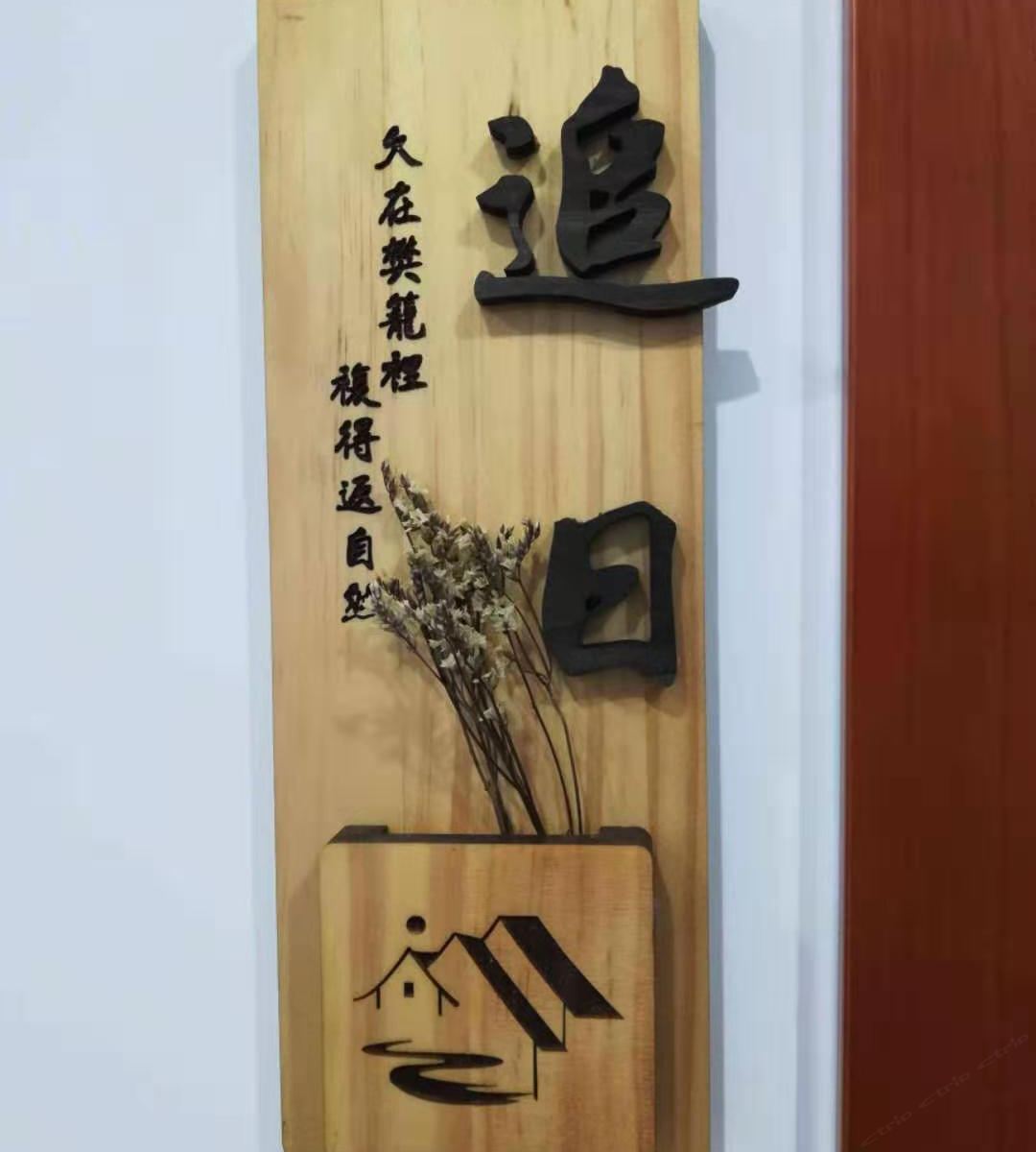 追日