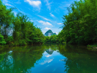 廣西巴馬最佳旅游路線_廣西巴馬旅游要多少錢2021_特價廣西巴馬游