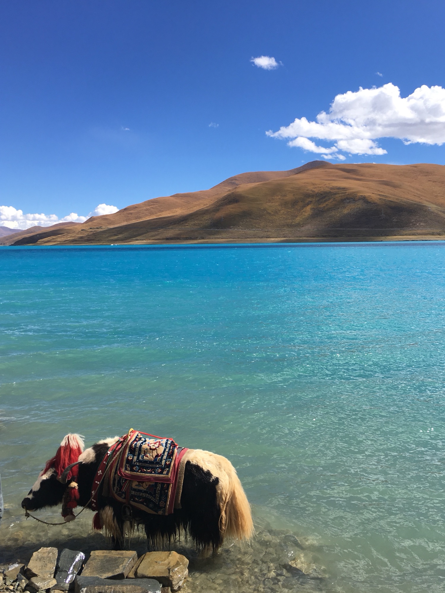 拉萨-林芝大峡谷-鲁朗林海-羊湖双飞8日游 初探