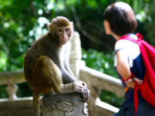去貴州黃果樹旅游多少錢_深圳到貴州黃果樹旅游報價_貴州黃果樹自由行費用