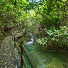 肇庆九龙湖