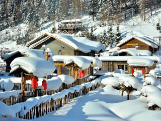 組團去亞布力滑雪_亞布力滑雪自由游價格多少_亞布力滑雪旅游路線