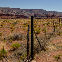 cattle fencing in the desert between Arizona and Utah 
U.S. Route 163 National Scenic Byway, Mexican Hat, San Juan County, Utah, United States