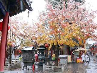 去五台山-云冈石窟-平遥古城6天游_五台山-云冈石窟-平遥古城11日游_五台山-云冈石窟-平遥古城旅游多少