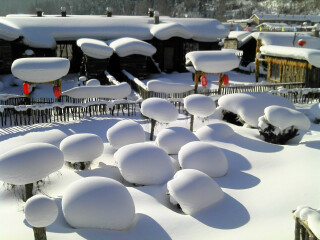 亞布力滑雪旅游團(tuán)_亞布力滑雪旅游價(jià)格多少_亞布力滑雪游花多少錢(qián)
