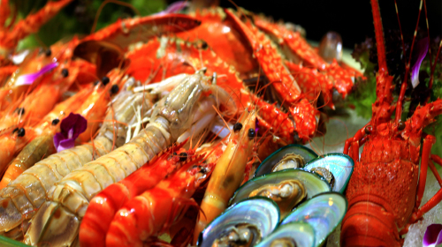 外伶仃岛海鲜美食嘉年华2天游游 海馨悠活度假