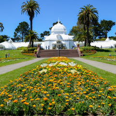 one of famous place in San Francisco, The  Conservatory of Flowers