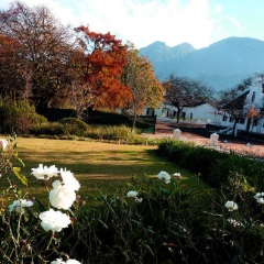 景点模块 