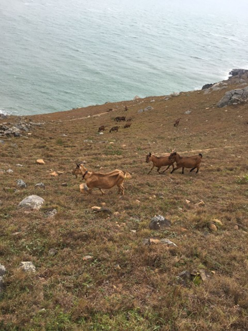 东庠岛位于平潭岛东北部,是一个四面环海的