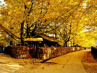 过年去腾冲旅游_腾冲好的旅游_春节腾冲旅游跟团