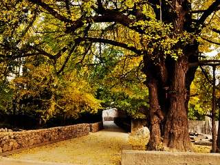 过年去腾冲旅游_腾冲好的旅游_春节腾冲旅游跟团