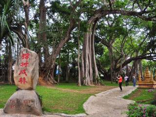 过年去腾冲旅游_腾冲好的旅游_春节腾冲旅游跟团