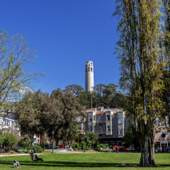 The Coit Tower photographed from Washington Square with locals and tourists alike enjoying the park, in the Little Italy area of San Francisco, California, USA, near North Beach.