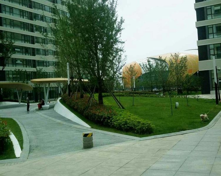 青岛周红338公寓(滨河东路分店)