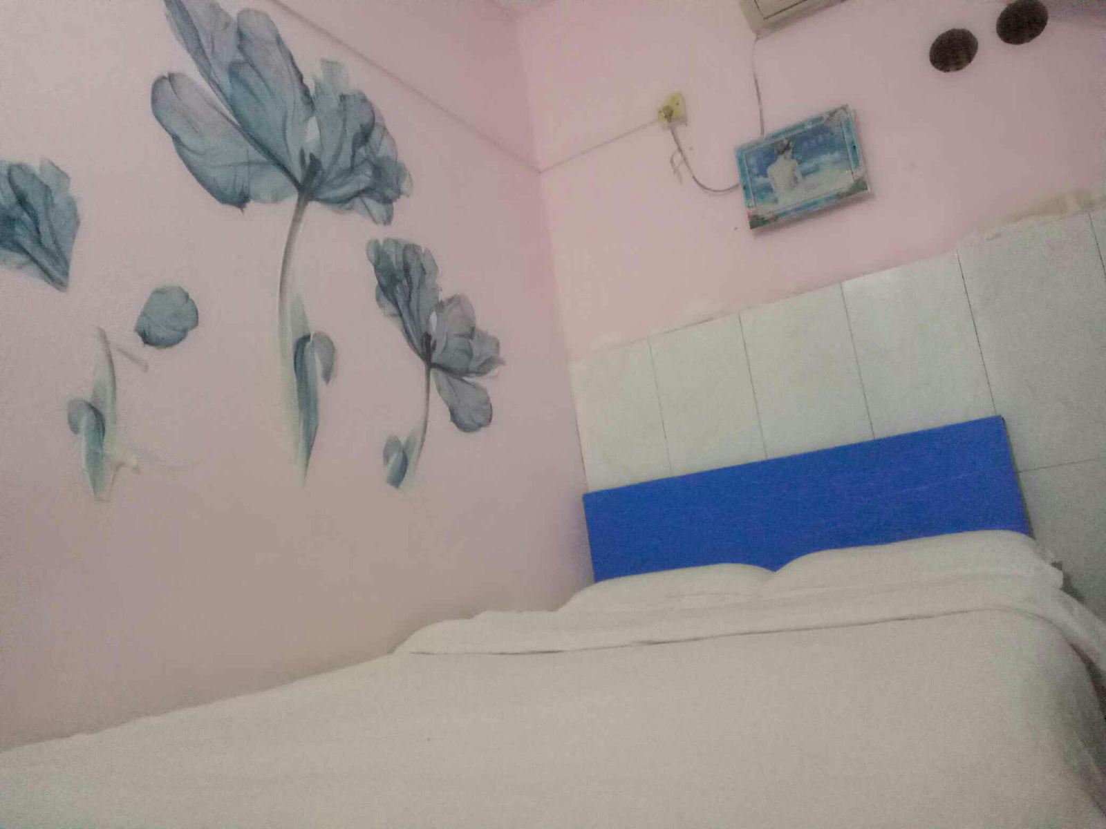 普通单人间
