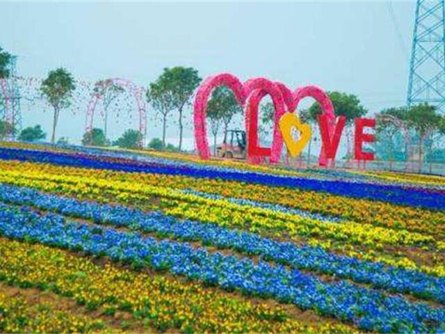 恩平香家堡梦幻花世界