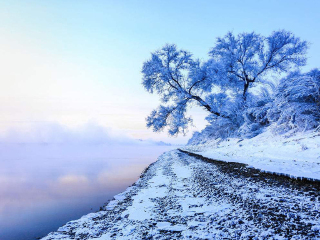 東北長(zhǎng)白山最佳旅游路線_東北長(zhǎng)白山游報(bào)價(jià)_東北長(zhǎng)白山報(bào)團(tuán)多少錢