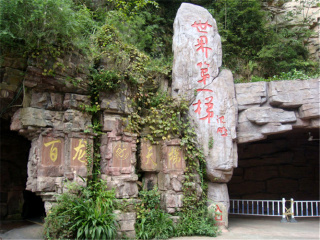 湖南鳳凰古城旅游價(jià)格多少_湖南鳳凰古城旅游最佳路線(xiàn)_湖南鳳凰古城旅游費(fèi)用