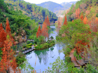 桂林5日旅游團(tuán)_桂林旅游哪家好_桂林十日旅游價(jià)格