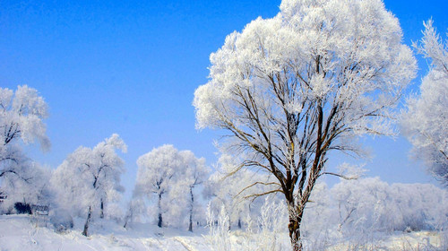 哈尔滨-亚布力滑雪场-雪乡-吉林雾凇-松花湖冬
