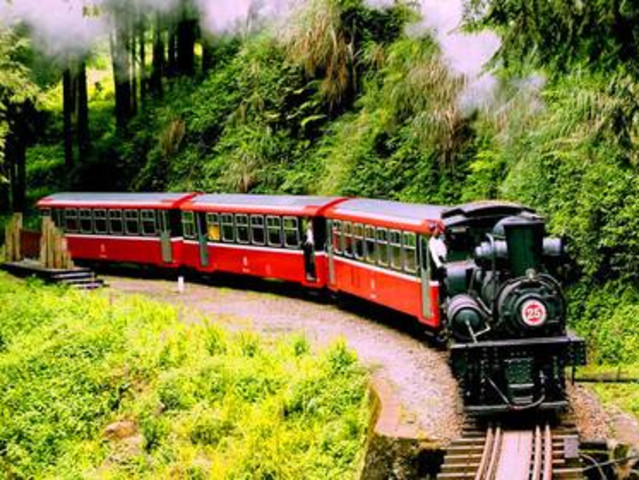 斯里兰卡茶园小火车
