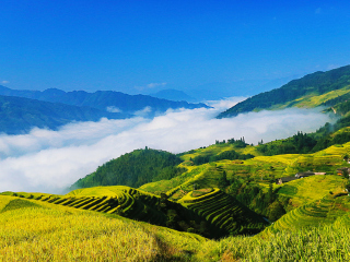 去桂林陽朔游怎么省錢_廣州桂林陽朔旅游團(tuán)_去桂林陽朔靠譜的旅行團(tuán)
