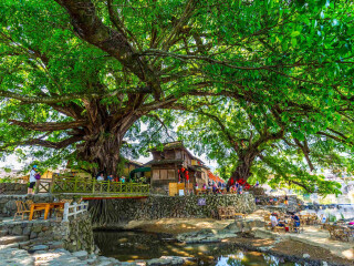 廈門鼓浪嶼最適合旅游的季節(jié)_特價廈門鼓浪嶼游