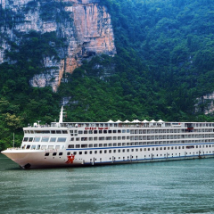 黄金5号 活动模块