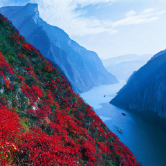 两岸风景 活动模块