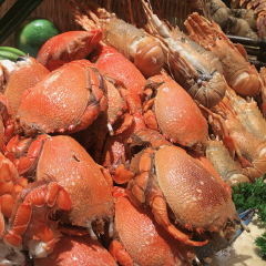 金源餐饮 餐饮模块