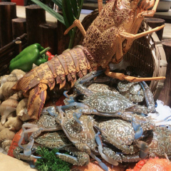 金源餐饮 餐饮模块