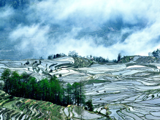 去云南元陽(yáng)梯田報(bào)團(tuán)多少錢(qián)_云南元陽(yáng)梯田旅游團(tuán)報(bào)價(jià)_國(guó)慶云南元陽(yáng)梯田游價(jià)格