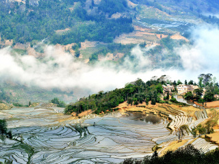 去云南元陽(yáng)梯田報(bào)團(tuán)多少錢(qián)_云南元陽(yáng)梯田旅游團(tuán)報(bào)價(jià)_國(guó)慶云南元陽(yáng)梯田游價(jià)格