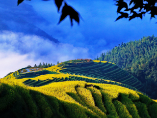 去桂林陽朔游怎么省錢_廣州桂林陽朔旅游團(tuán)_去桂林陽朔靠譜的旅行團(tuán)
