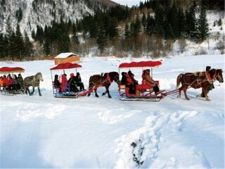 東北長(zhǎng)白山旅游多少錢一個(gè)人_東北長(zhǎng)白山旅行團(tuán)自由行_現(xiàn)在去東北長(zhǎng)白山旅游多少錢