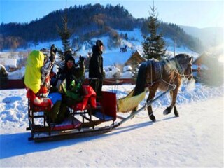 東北長(zhǎng)白山旅游多少錢一個(gè)人_東北長(zhǎng)白山旅行團(tuán)自由行_現(xiàn)在去東北長(zhǎng)白山旅游多少錢