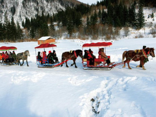 亞布力滑雪旅游團報價2021_深圳到亞布力滑雪旅游報價_亞布力滑雪游跟團多少錢