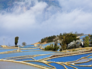 去云南元陽(yáng)梯田報(bào)團(tuán)多少錢(qián)_云南元陽(yáng)梯田旅游團(tuán)報(bào)價(jià)_國(guó)慶云南元陽(yáng)梯田游價(jià)格