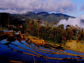 去云南元陽(yáng)梯田報(bào)團(tuán)多少錢(qián)_云南元陽(yáng)梯田旅游團(tuán)報(bào)價(jià)_國(guó)慶云南元陽(yáng)梯田游價(jià)格
