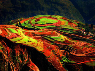 去云南元陽(yáng)梯田報(bào)團(tuán)多少錢(qián)_云南元陽(yáng)梯田旅游團(tuán)報(bào)價(jià)_國(guó)慶云南元陽(yáng)梯田游價(jià)格