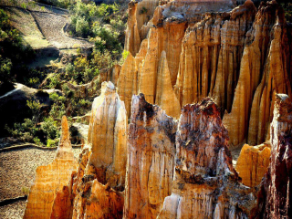 去云南元陽(yáng)梯田報(bào)團(tuán)多少錢(qián)_云南元陽(yáng)梯田旅游團(tuán)報(bào)價(jià)_國(guó)慶云南元陽(yáng)梯田游價(jià)格