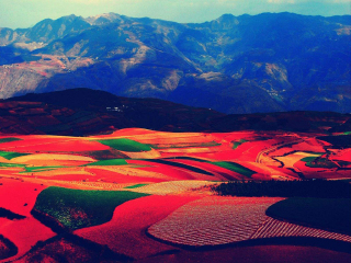 去云南元陽(yáng)梯田報(bào)團(tuán)多少錢(qián)_云南元陽(yáng)梯田旅游團(tuán)報(bào)價(jià)_國(guó)慶云南元陽(yáng)梯田游價(jià)格