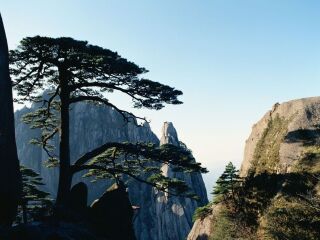 黃山旅游團(tuán)_去黃山游怎么省錢_到黃山旅游多少錢