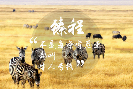 南京到肯尼亚跟团游旅游_肯尼亚旅游线路报价
