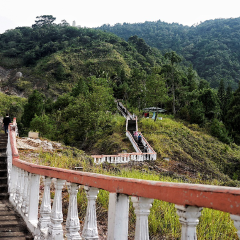 景点模块 