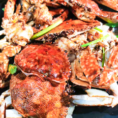 餐饮模块 