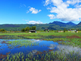 云南香格里拉自由行費(fèi)用_深圳特價(jià)云南香格里拉游_旅行團(tuán)云南香格里拉游